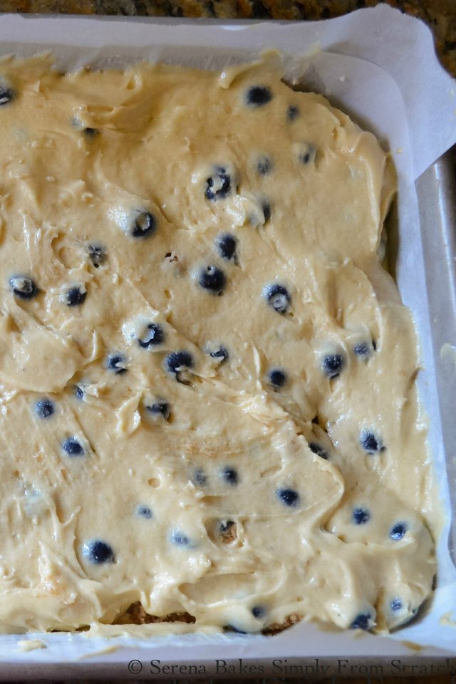 Blueberry Cinnamon Crumb Coffee Cake batter recipes from Serena Bakes Simply From Scratch.