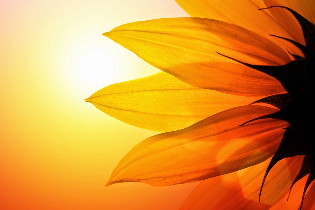 Healing with the 99 Divine Names Self Healing Tips for Any Day