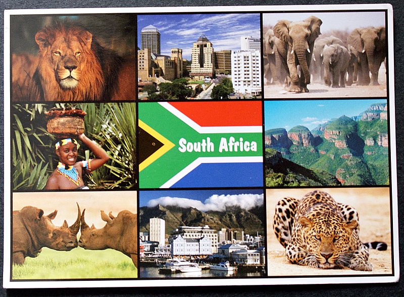 Postcards, Letters and Stamps South Africa postcard