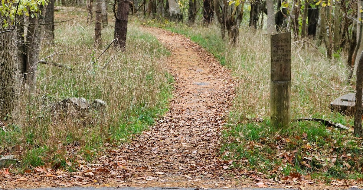 ABANDONED TRAILS OF ACADIA NATIONAL PARK THE MOUNT DESERT NURSERIES