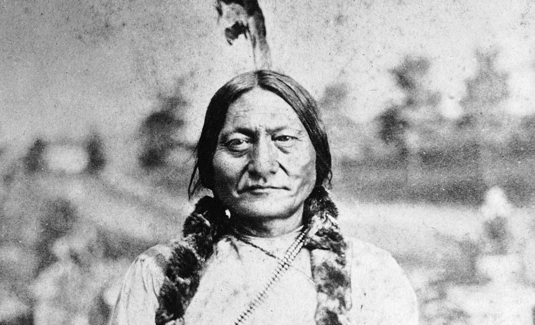 THE GRANDMA'S LOGBOOK SITTING BULL HUNKPAPA LAKOTA RESISTANCE LEADER