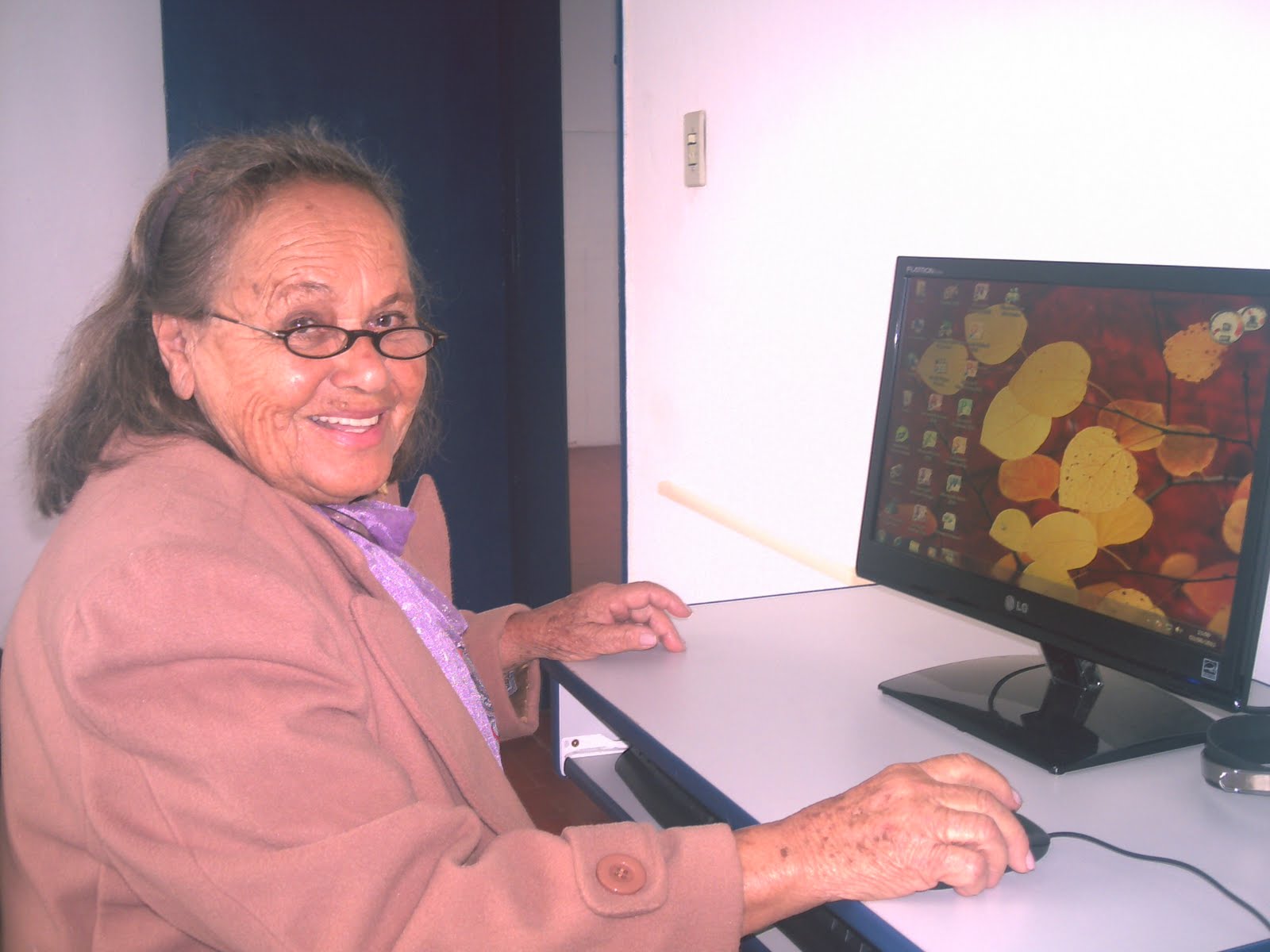 Cursos e treinamentos - Evolua Mais
