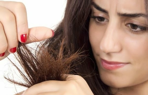 Penyebab Rambut Kering Dan Kasar Penyebab Rambut Kering Dan Kasar