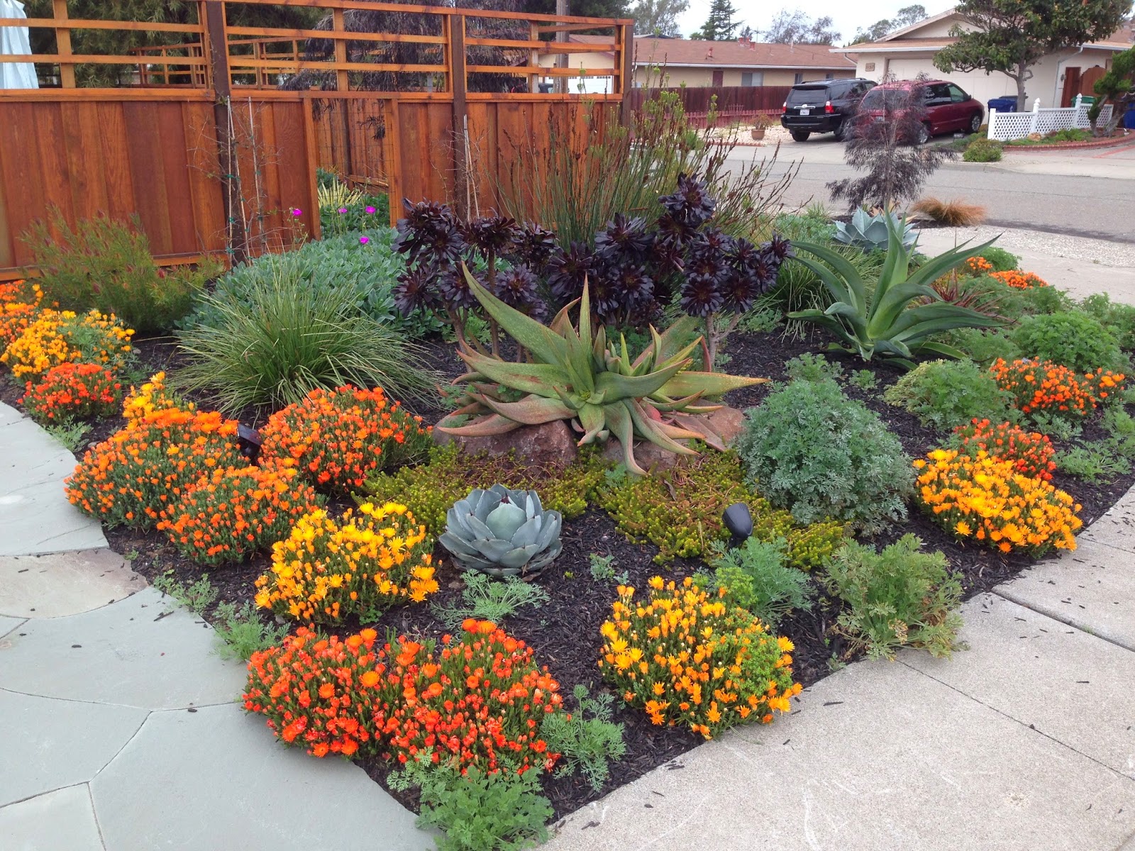 landscaping ideas drought resistant | lanscaping design home