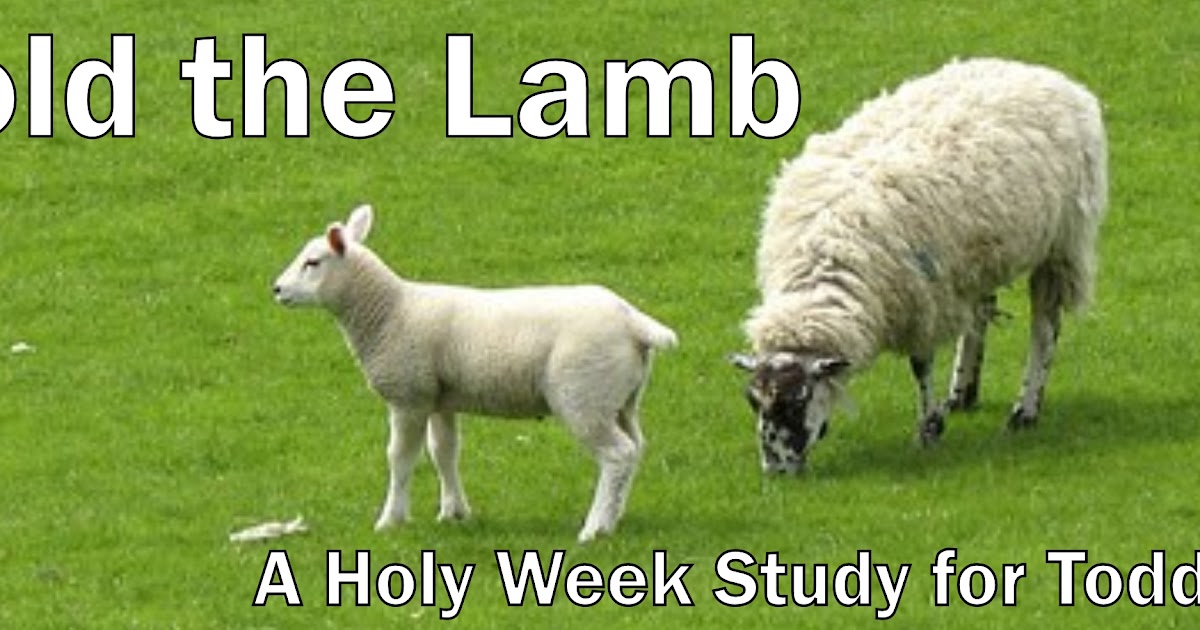 Behold the Lamb A Holy Week Study for Toddlers