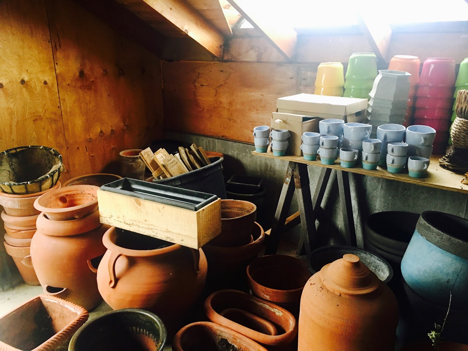 Mop Philosophy Winter Gardens at Langdon Hall