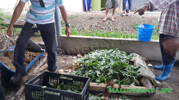 moringa-organic-farming-seminar