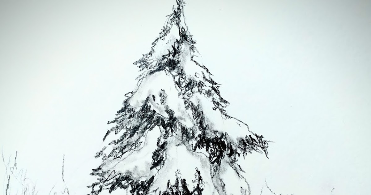 Vanessa Dippel: Eine Tanne im Schnee zeichnen