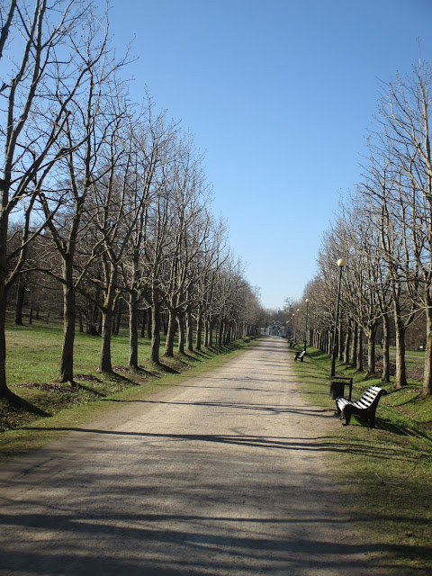 Japanilainen puisto suku puoli