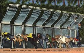Downs Downs