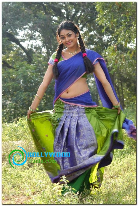B Town South Indian Hottie Meenakshi Hot Navel Show Saree Stills 2013