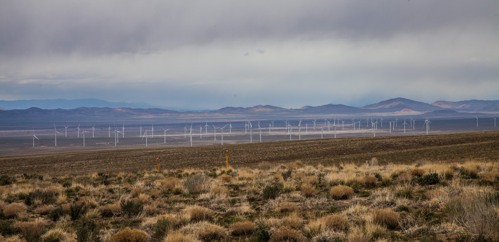 Walking Arizona Wind Farm
