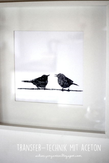 Ein Schweizer Garten Transfertechnik Mit Aceton