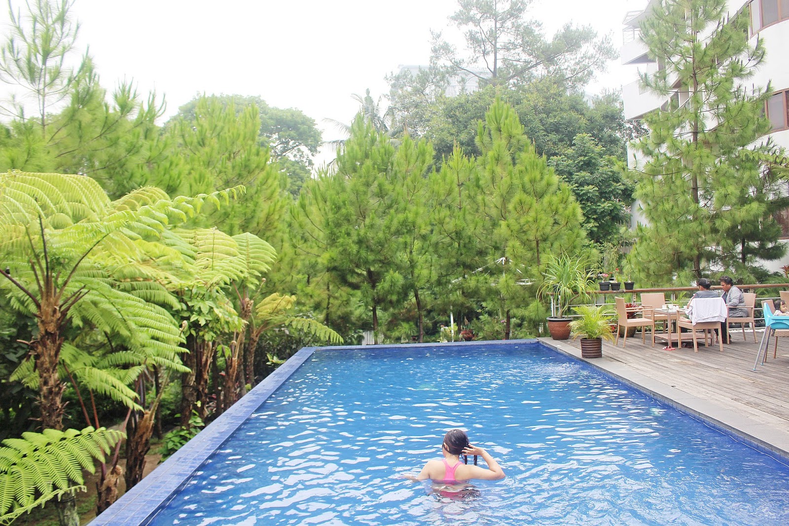 HOUSE SANGKURIANG : HOTEL DAGO BANDUNG DENGAN INFINITY POOL VIEW POHON