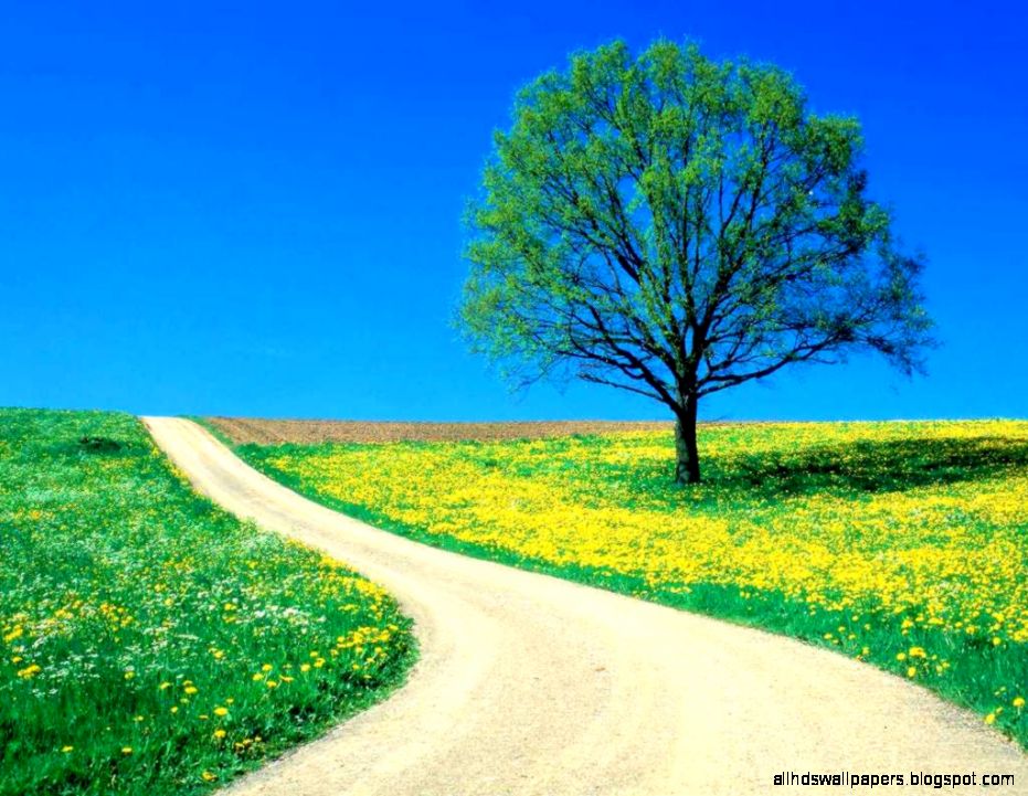 full size nature HD wallpapers