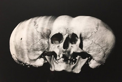 Irving Penn's Skulls | Late 1970s, Image courtesy http://www.highsnobiety.com/2017/01/05/irving-penn-photographer/