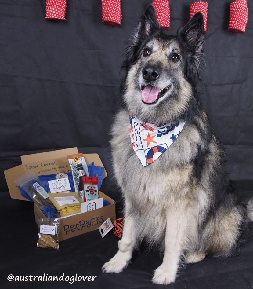 PetPacks Pet Birthday Gift Box Review Australian Dog Lover