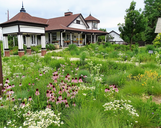 Prairiebreak Chatfield Farm...early July