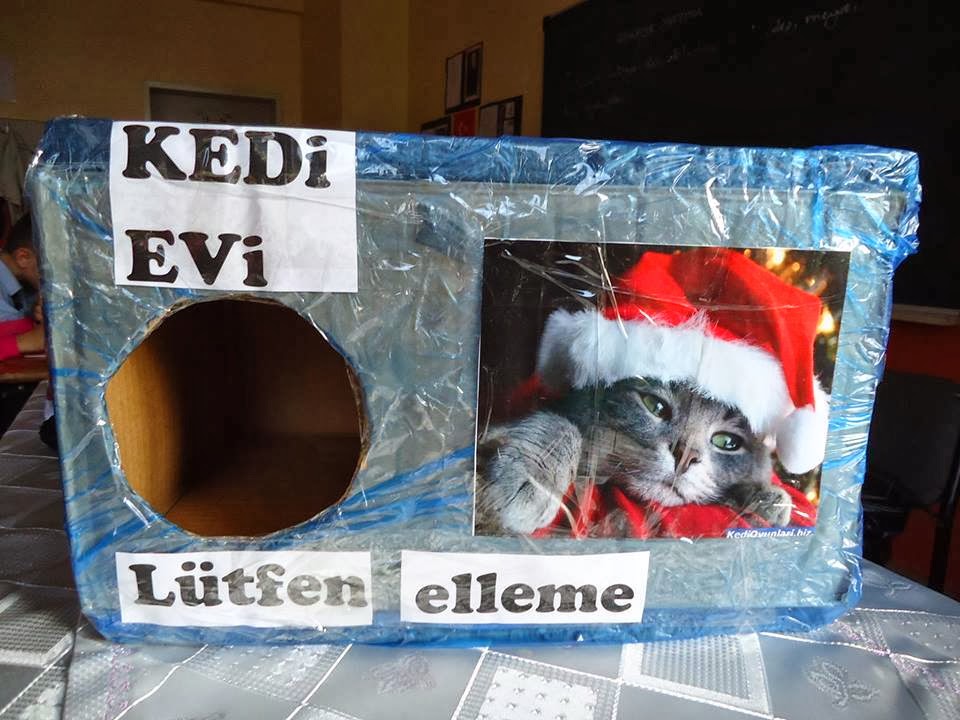 Hi Guys, Kedi evi projesi Cat house project