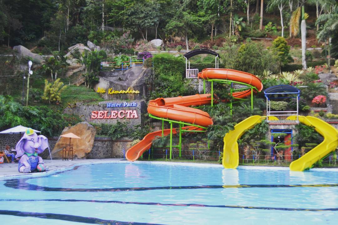 Taman Rekreasi Selecta Tempat Wisata Asyik Bersama Keluarga Taman Rekreasi Selecta Tempat Wisata Asyik Bersama Keluarga
