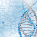 Ο συνδυασμός νανοτεχνολογίας και DNA στην υπηρεσία της επιστήμης;