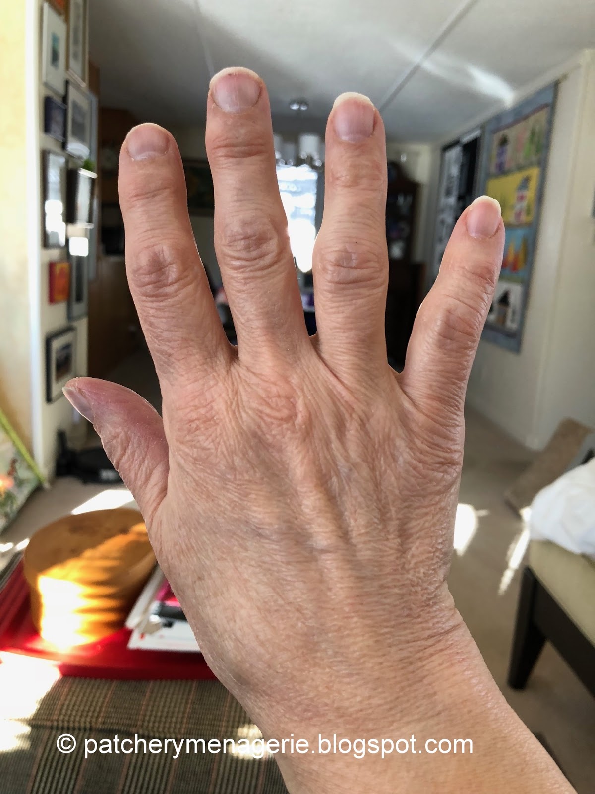 The Patchery Menagerie Hands