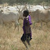 Trouble as Fulani Herdsman Murders Farmer in Oyo Over Cattle 
