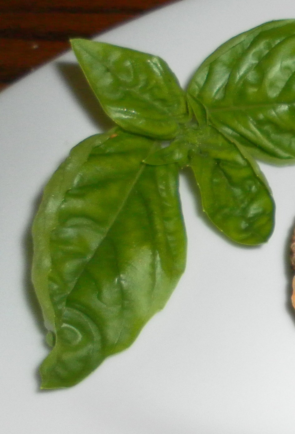 Health Benefit of Sweet Basil