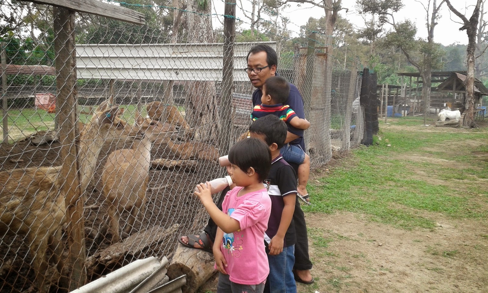 Bungabunga Kehidupan Rabbit Farm Broga
