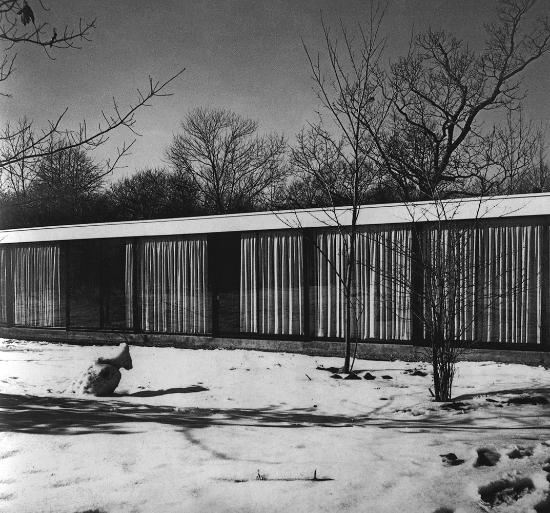 Paradise Backyard Crombie Taylor