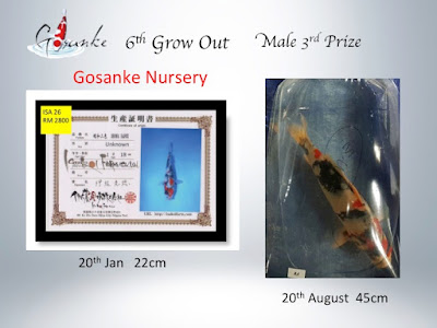 koi-pond-accessories-south-africa-5.jpg koi-pond-accessories-south-africa-5.jpg