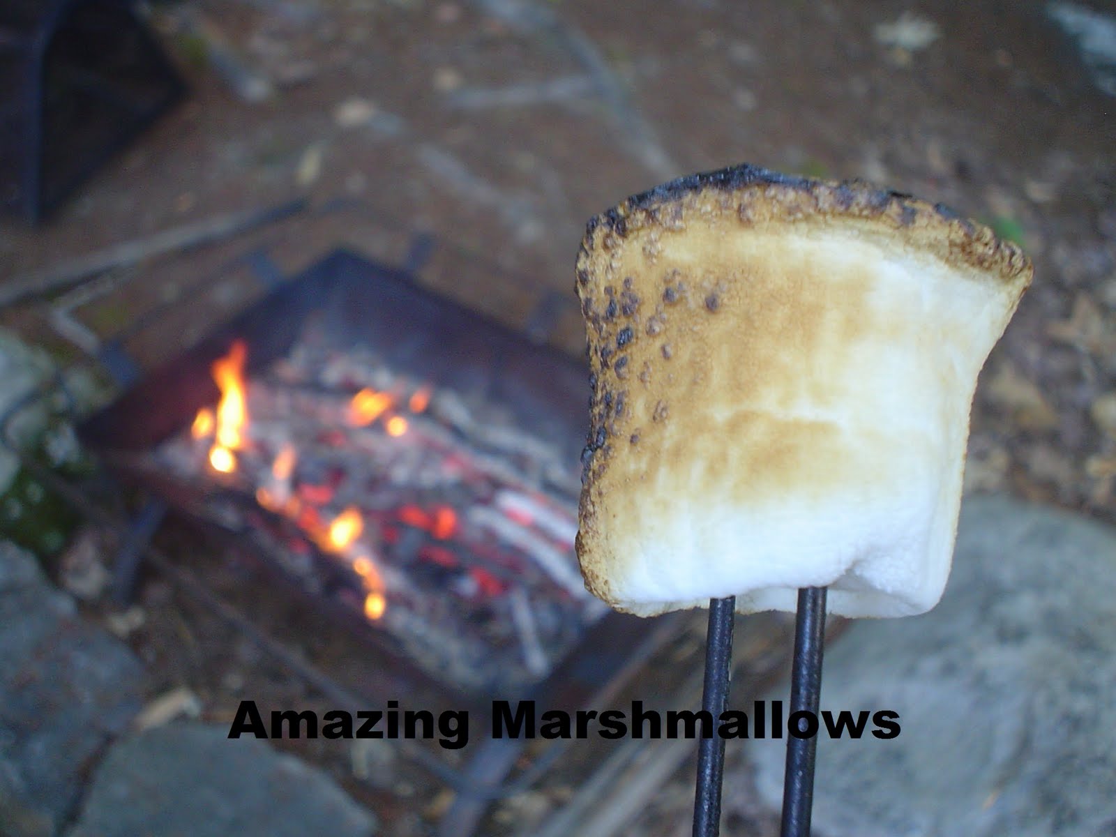 Amazing Marshmallows You make me melt