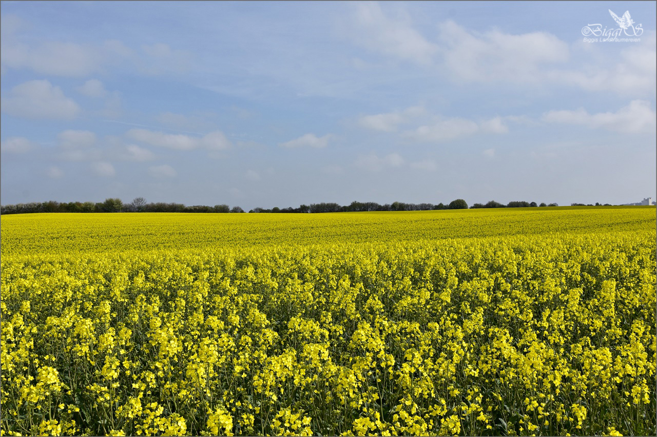 Https Www Yumpu Com De Document Download 59725892 B51cd F0630 5fe58 9704c 6a50a 77da4 6a49a 9a0da