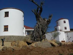 Posada Rural Los Molinos (El Almendro)