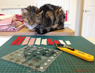 Sparky the Cat helping with fabric choices