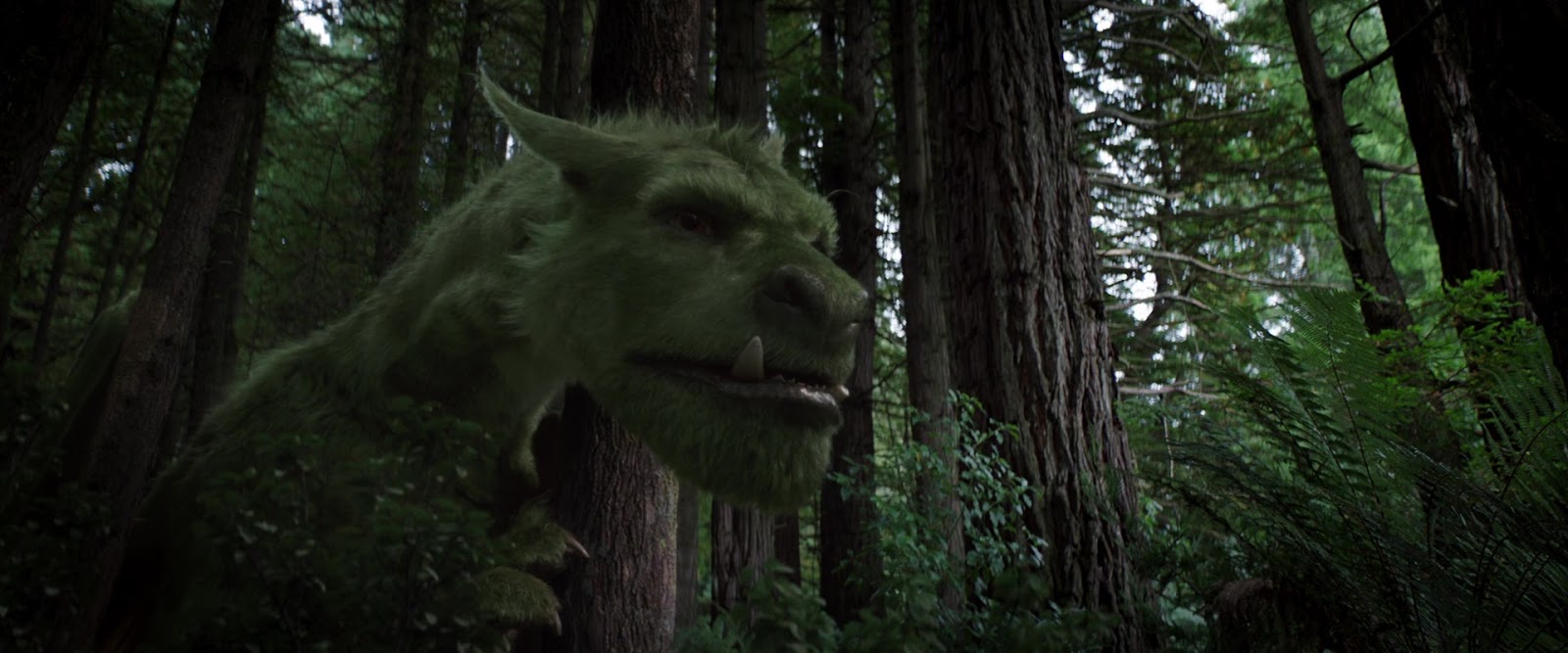 пит и его дракон. пит и его дракон качество. пит и его дракон качество. дракончики из пит и его дракон. пит и его дракон качество.