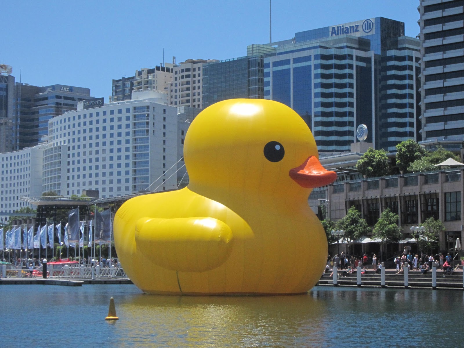 Being a duck. Rubber Duck in Harbour. Rubber Duck.
