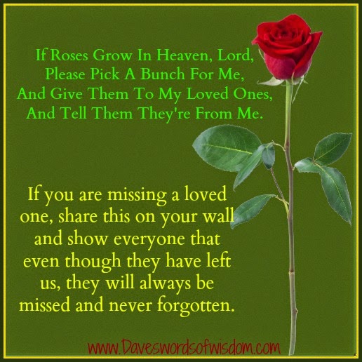 If Roses Grow In Heaven