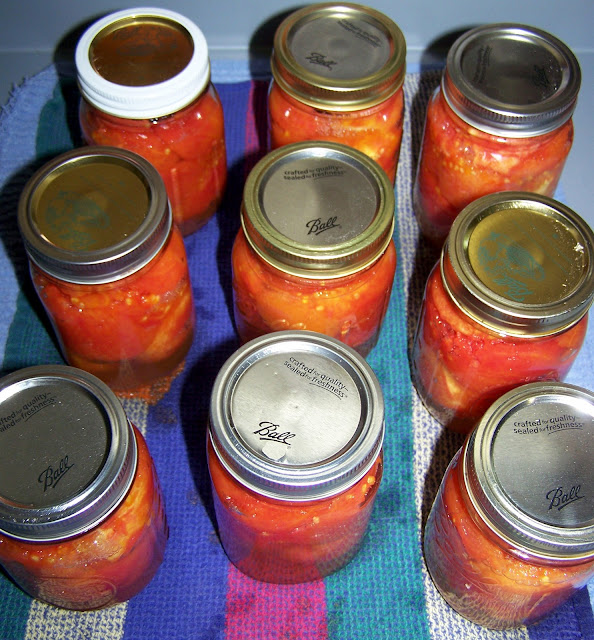 Man That Stuff Is Good! Canning Roma Tomatoes