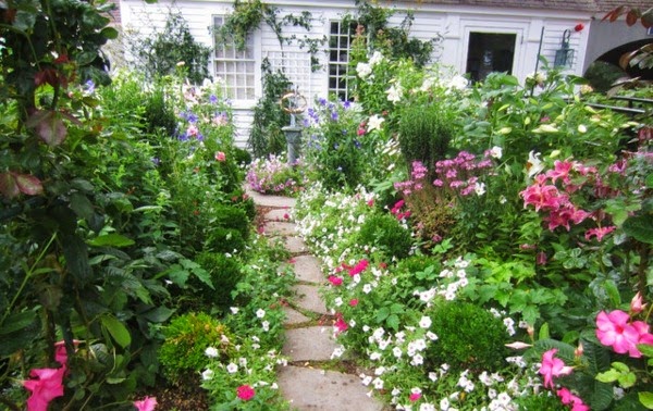 Ideas for garden design for beginner