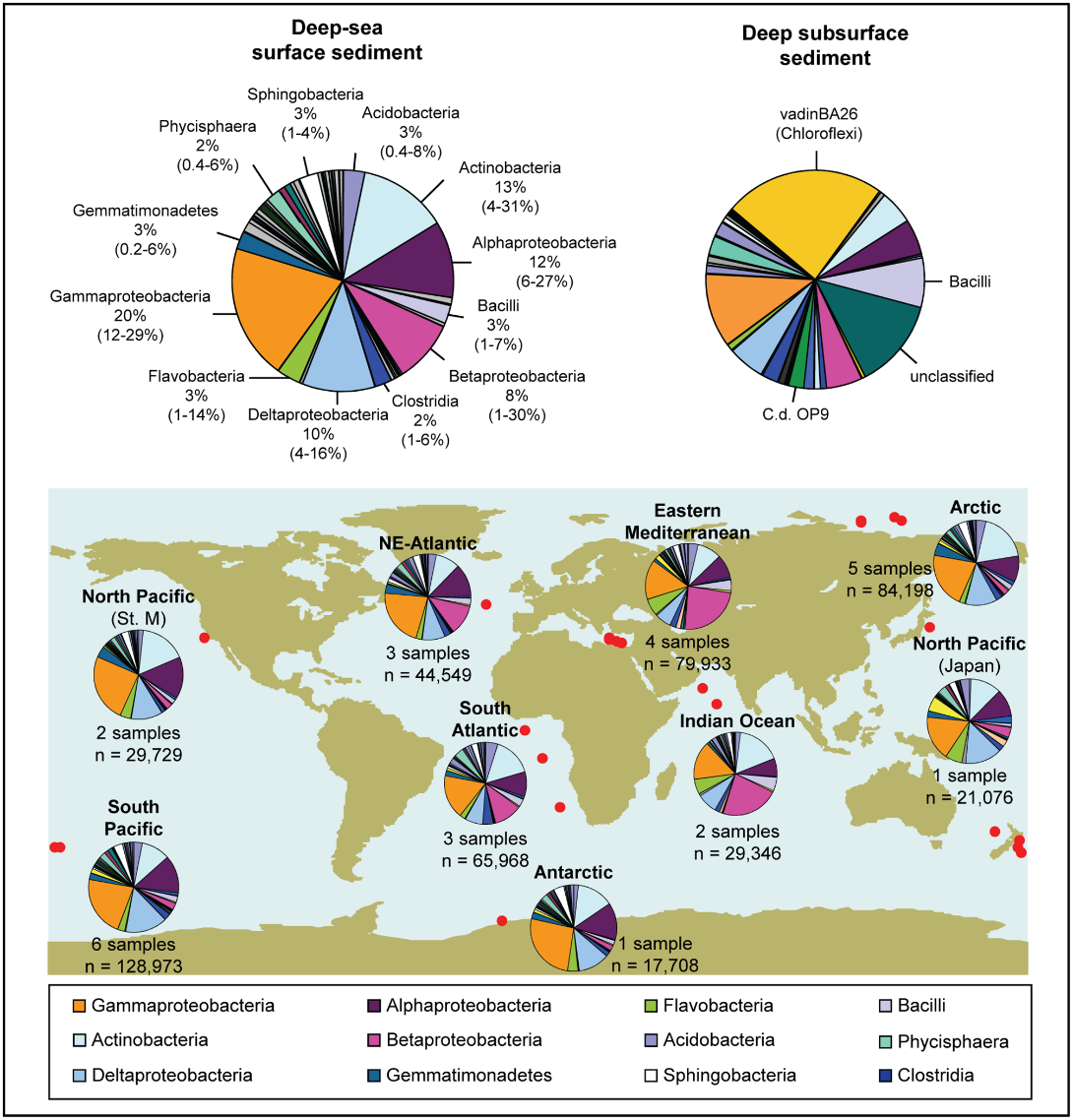 Microbial mysteries on deep sea