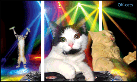 Art Cat GIF • August 8th >> International Cat Day GIF Art Cat GIF • August 8th >> International Cat Day GIF