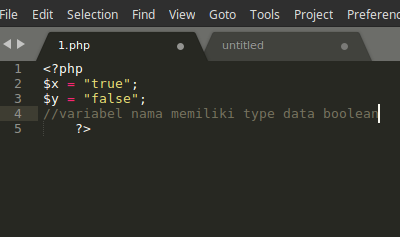 Виды php. Клоакинг. Links php type. Input type date. Bool в php.