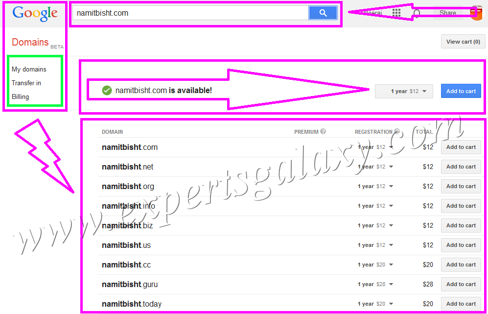 Google Domains Registration Search