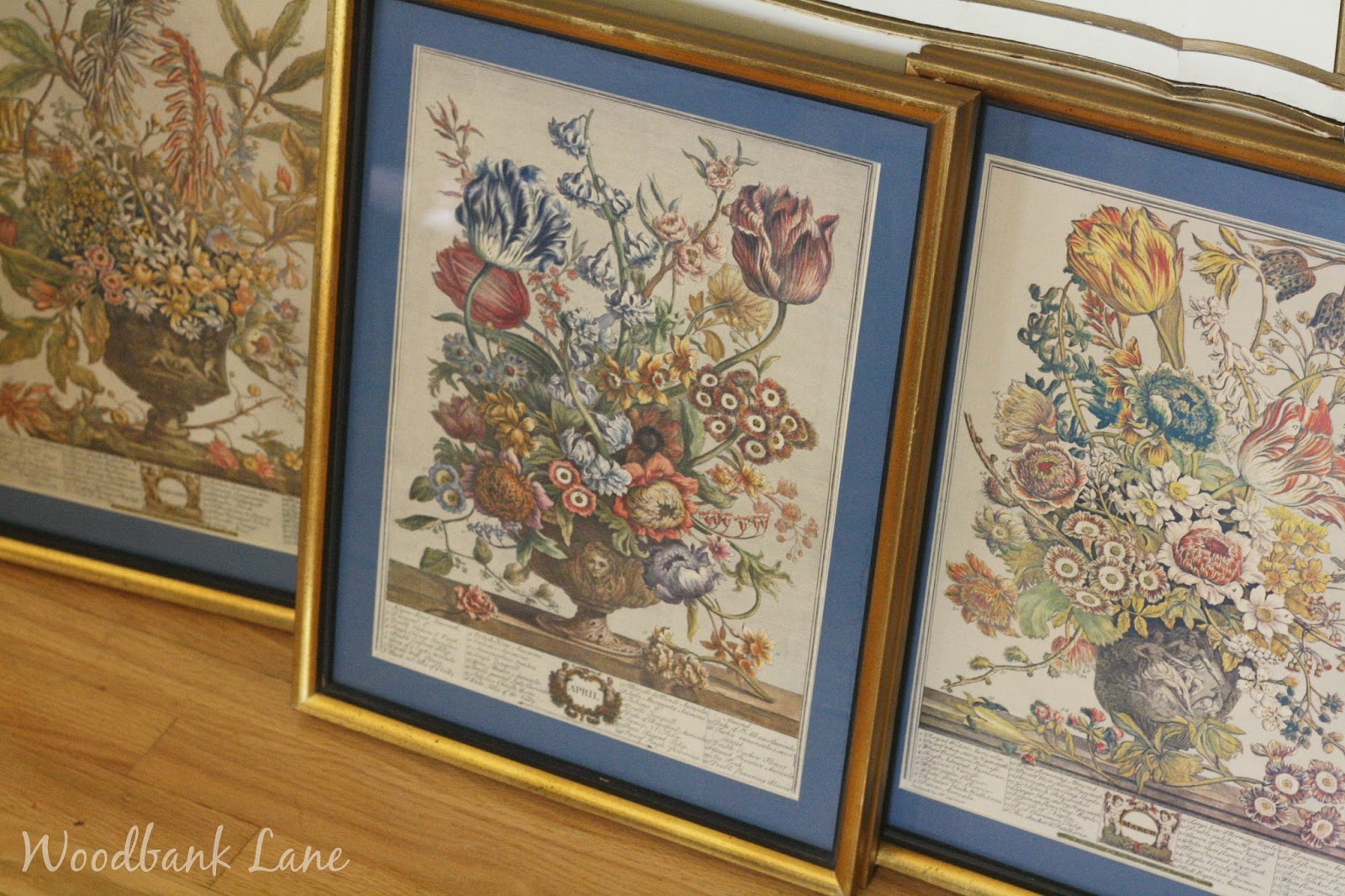 Woodbank Lane New life for old flower of the month prints...