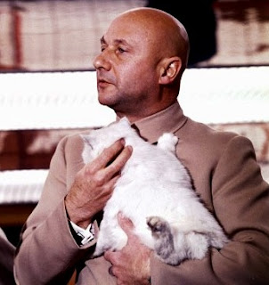 Aasi alainen porno tähtöset