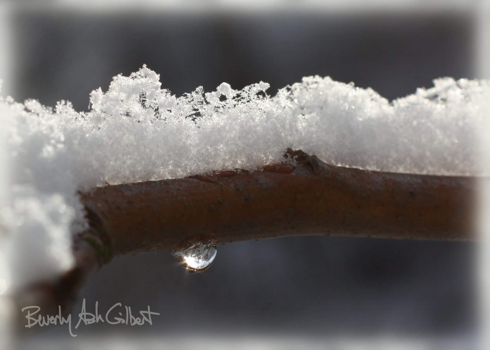 Beverly Ash Gilbert A Blanket of Snow