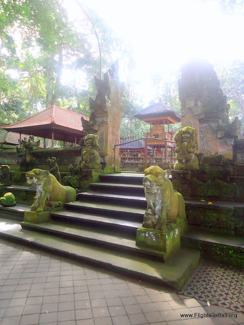 Monkey Forest Ubud Bali Indonesia 2