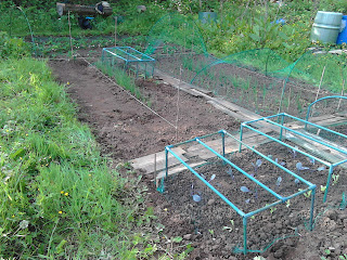 Allotment