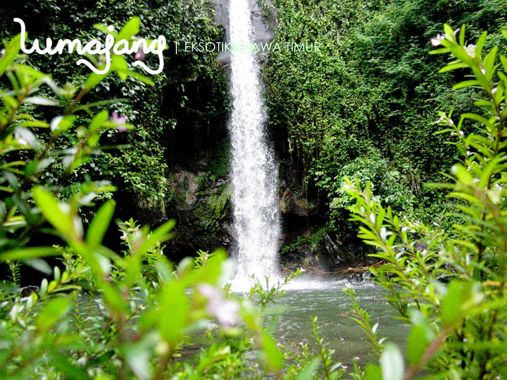 Download this Air Terjun Suci picture